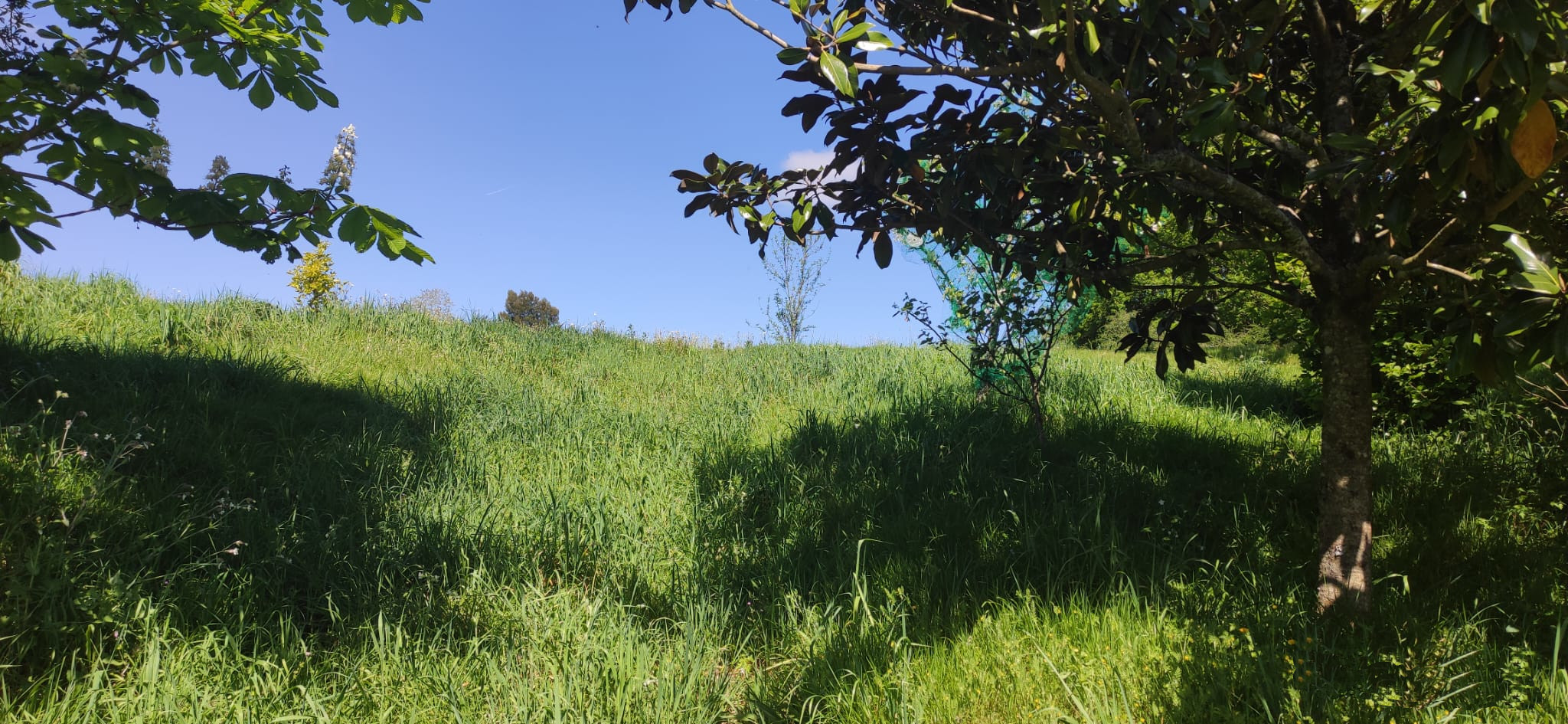 Senderos naturales cercanos a Casa Vaz